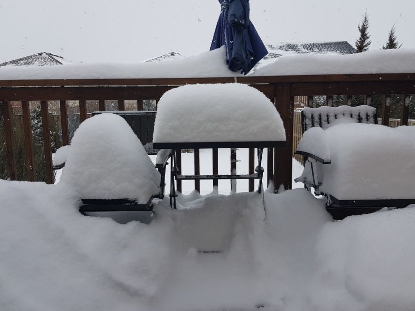  - De prin lume adunate