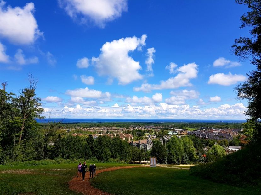  - De prin lume adunate