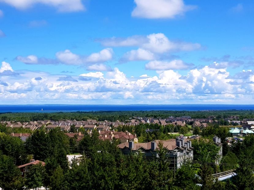  - De prin lume adunate