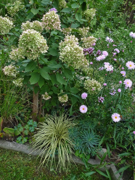  - 2022 - 03 - Toamna