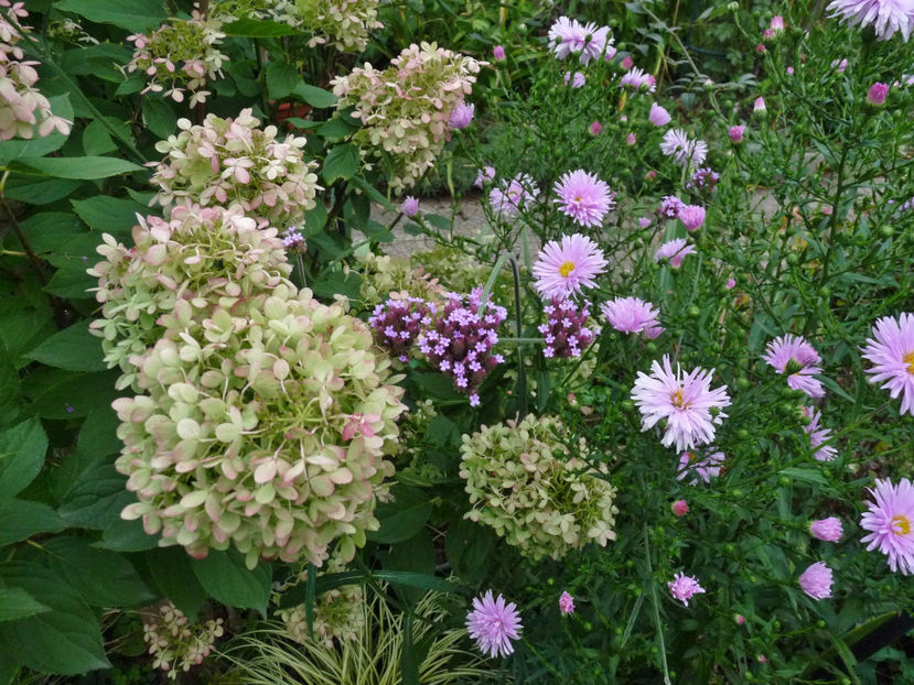  - 2022 - 03 - Toamna