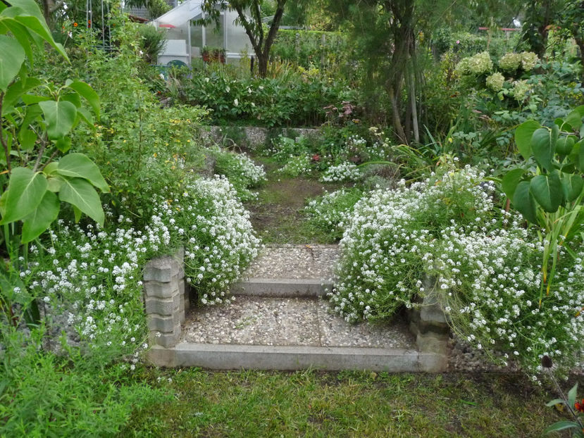  - 2022 - 03 - Toamna