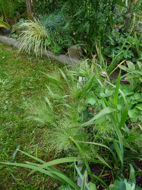  - 2022 - 03 - Toamna