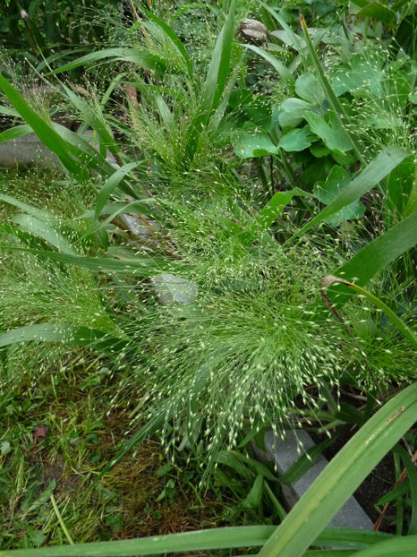  - 2022 - 03 - Toamna