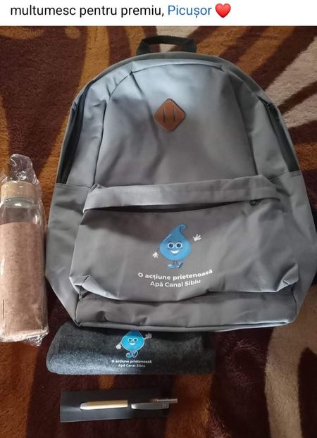  - Premii castigate la concursurile online