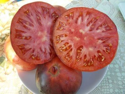  - SEMINTE ROSII - T 860 AURORA BLUE