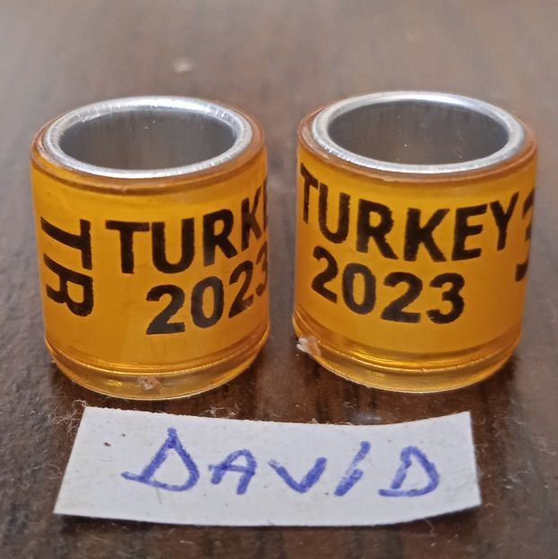 2023-Turcia-fara talon ...1 leu - Inele 2014