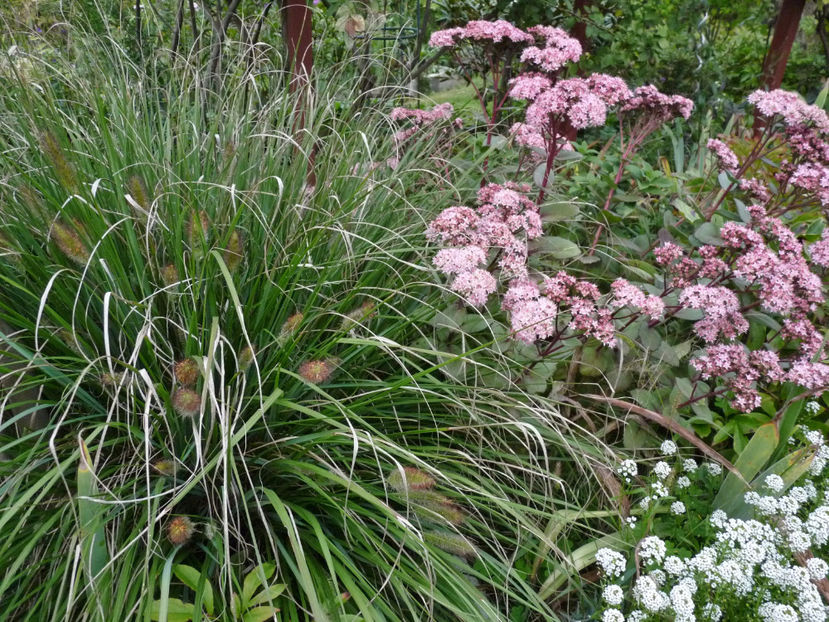  - 2022 - 03 - Toamna