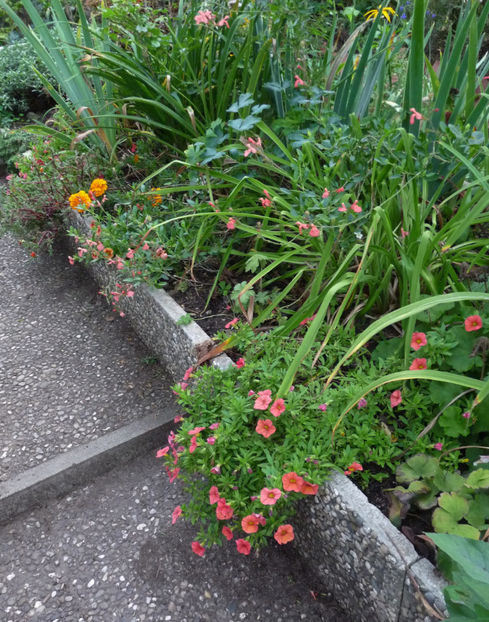  - 2022 - 03 - Toamna