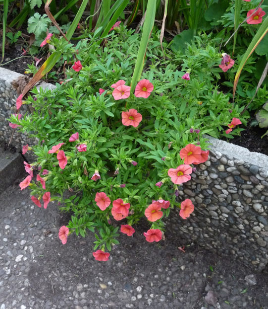  - 2022 - 03 - Toamna