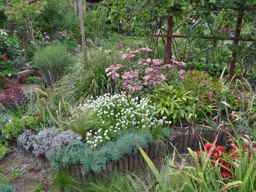  - 2022 - 03 - Toamna