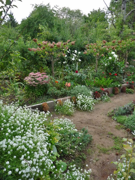  - 2022 - 03 - Toamna