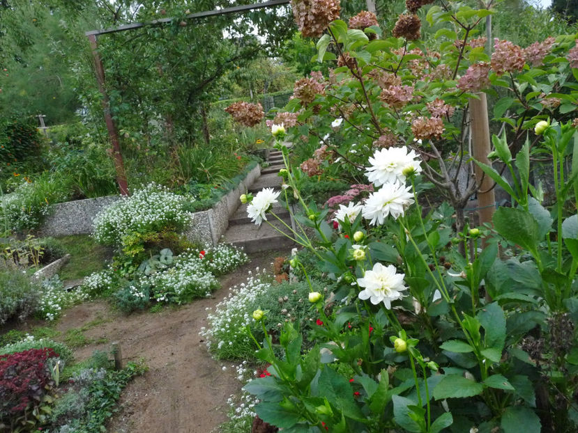  - 2022 - 03 - Toamna