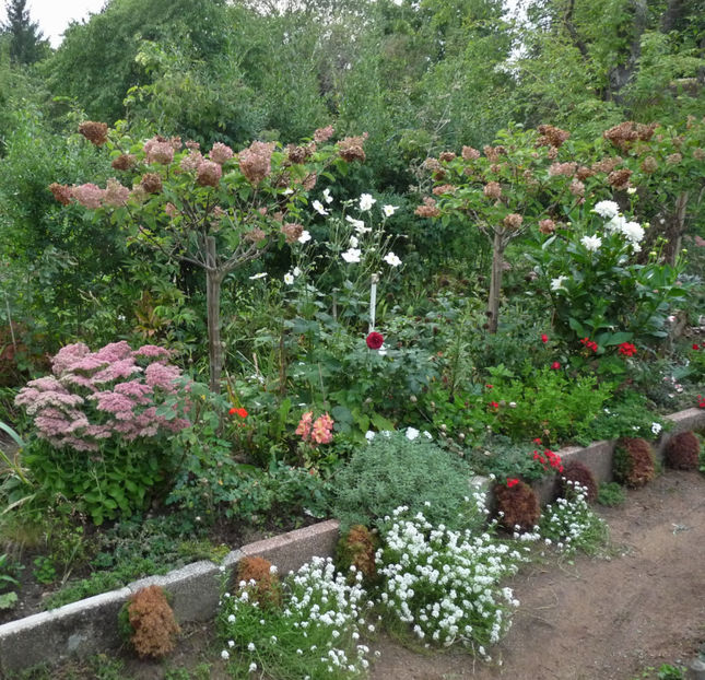  - 2022 - 03 - Toamna