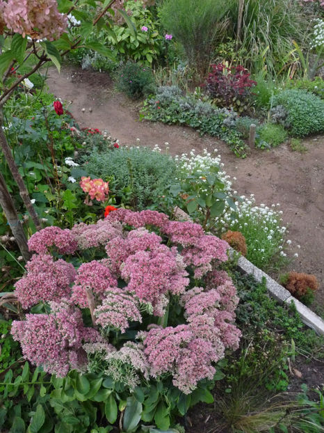  - 2022 - 03 - Toamna