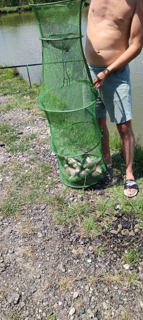 IMG-20220717-WA0004 - Pescuit