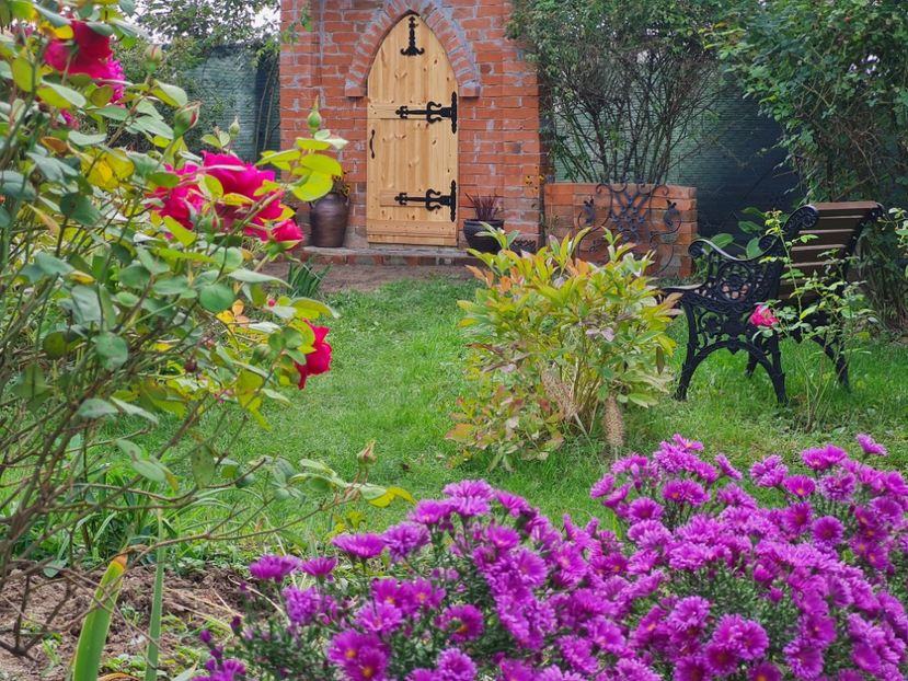  - 2022_Septembrie_Aster