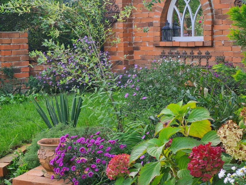  - 2022_Septembrie_Aster