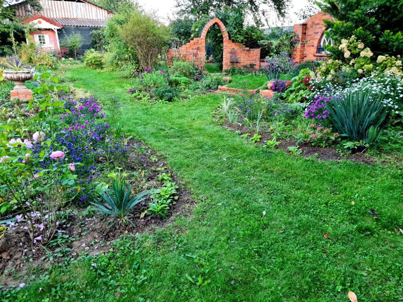  - 2022_Septembrie_Aster