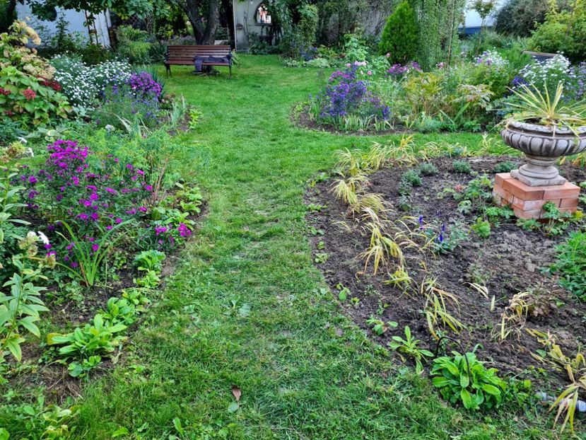  - 2022_Septembrie_Aster