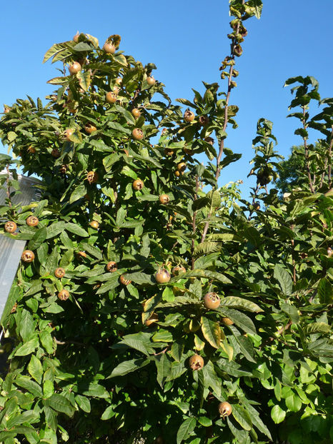  - 2022 - 03 - Toamna