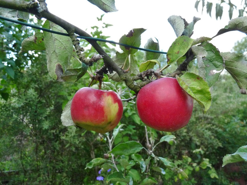  - 2022 - 03 - Toamna