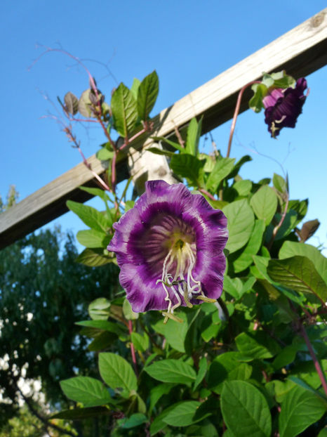  - 2022 - 03 - Toamna