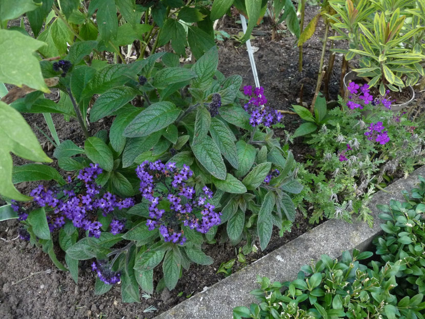  - 2022 - 03 - Toamna