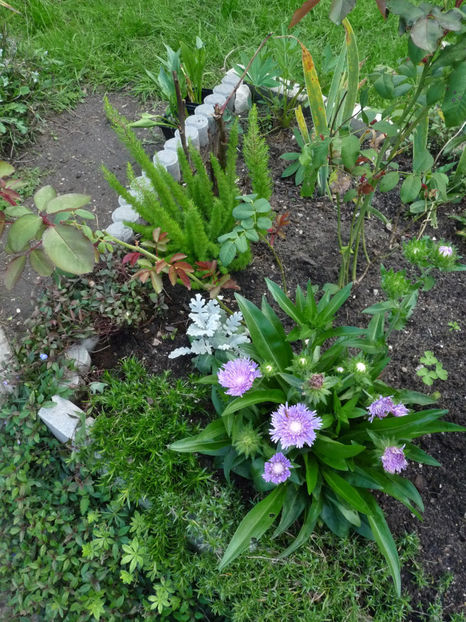  - 2022 - 03 - Toamna