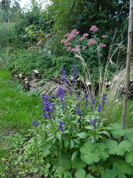  - 2022 - 03 - Toamna