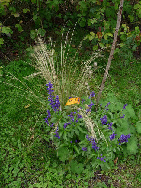  - 2022 - 03 - Toamna