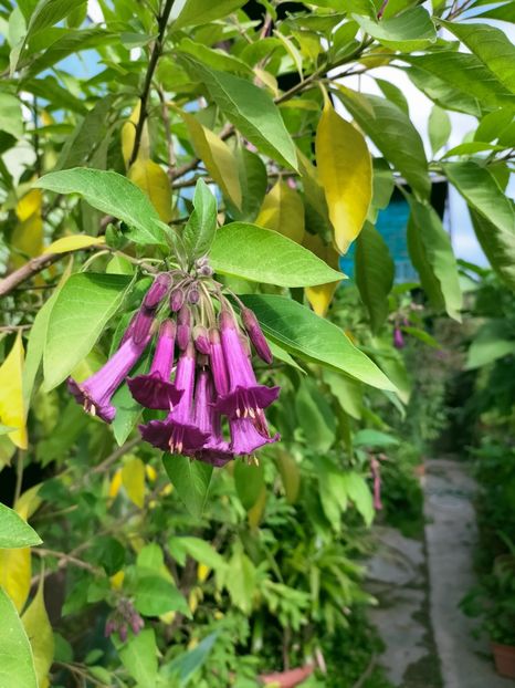 IMG20220926102932 - Septembrie 2022 vol 2