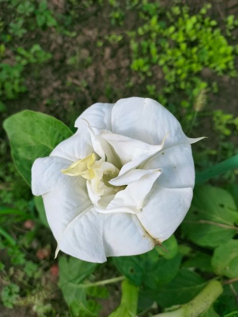 IMG20220926095558 - Septembrie 2022 vol 2