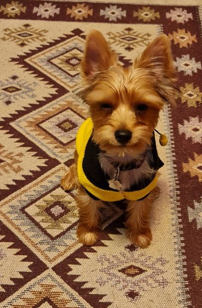 Sept.2022 - Nepoata Nora