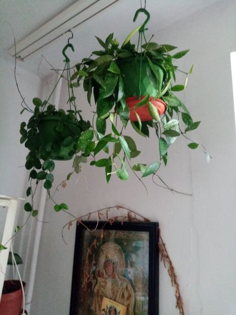 IMG-20220911-WA0004 - OCTOMBRIE 2022