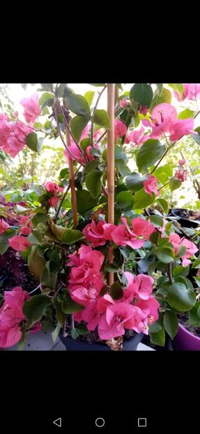 Screenshot_20220829_210354_com.android.gallery3d - OCTOMBRIE 2022