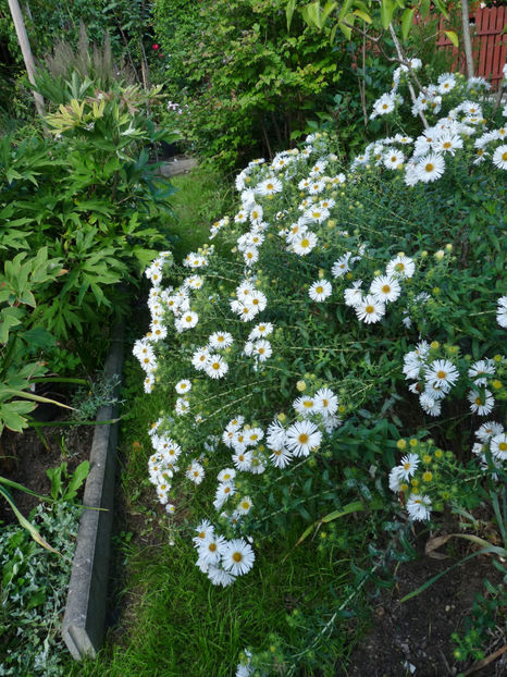  - 2022 - 03 - Toamna