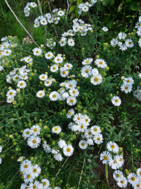  - 2022 - 03 - Toamna