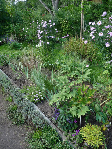  - 2022 - 03 - Toamna