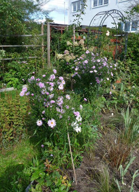  - 2022 - 03 - Toamna