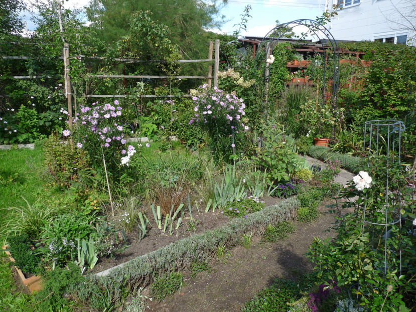  - 2022 - 03 - Toamna