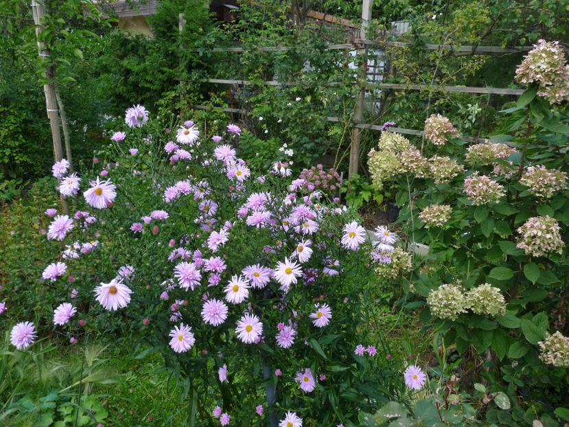  - 2022 - 03 - Toamna