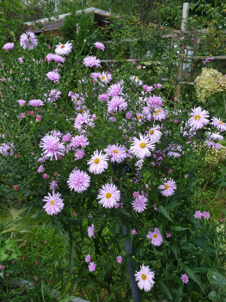  - 2022 - 03 - Toamna