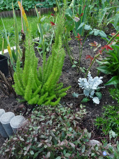  - 2022 - 03 - Toamna