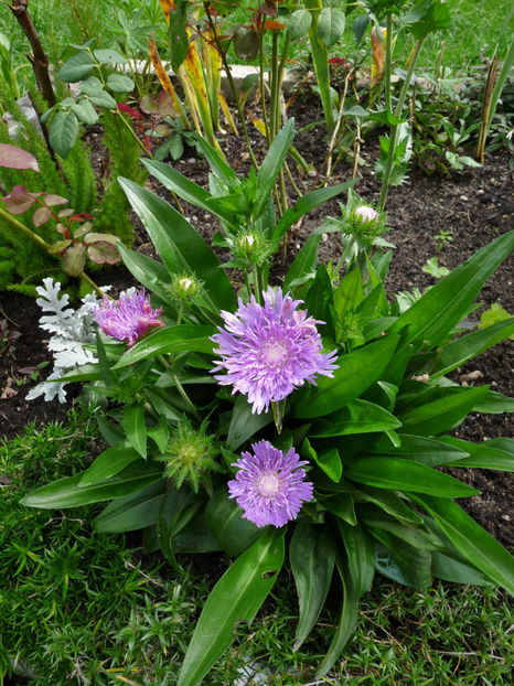  - 2022 - 03 - Toamna