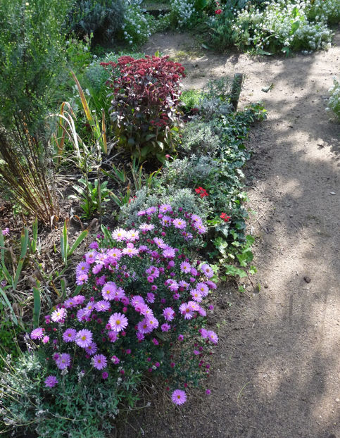  - 2022 - 03 - Toamna