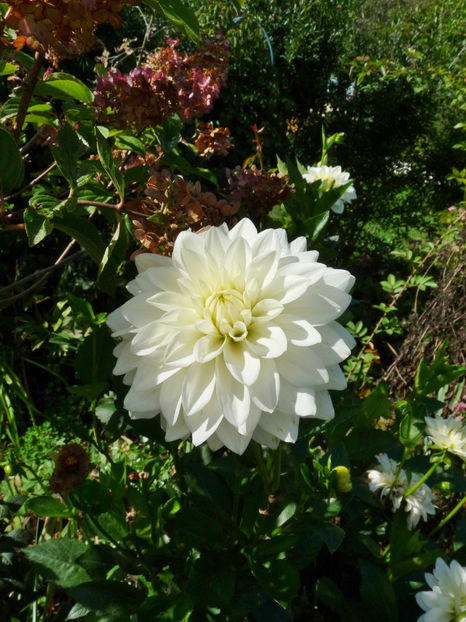  - 2022 - 03 - Toamna