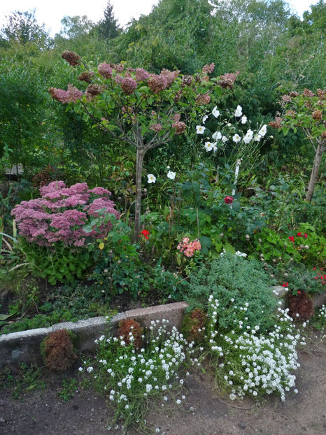  - 2022 - 03 - Toamna