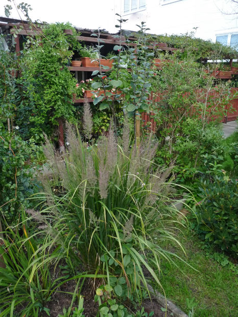  - 2022 - 03 - Toamna