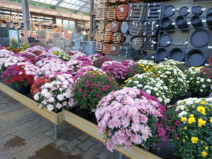 Img.2022.09.26 - A -Magazin